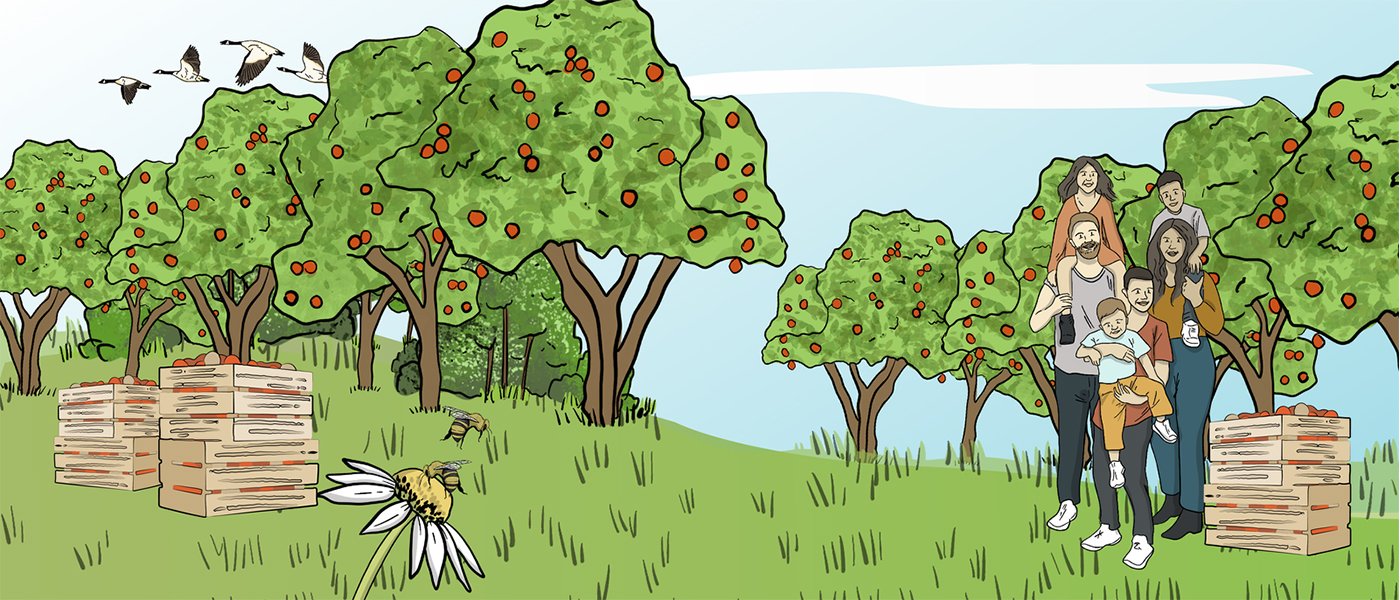 An illustrated apple orchard is shown with rows of apple trees. There is a family standing in front of the orchard, with two kids on their parent’s shoulders and another kid standing closeby holding a fourth child. They all stand beside a basket of apples. 