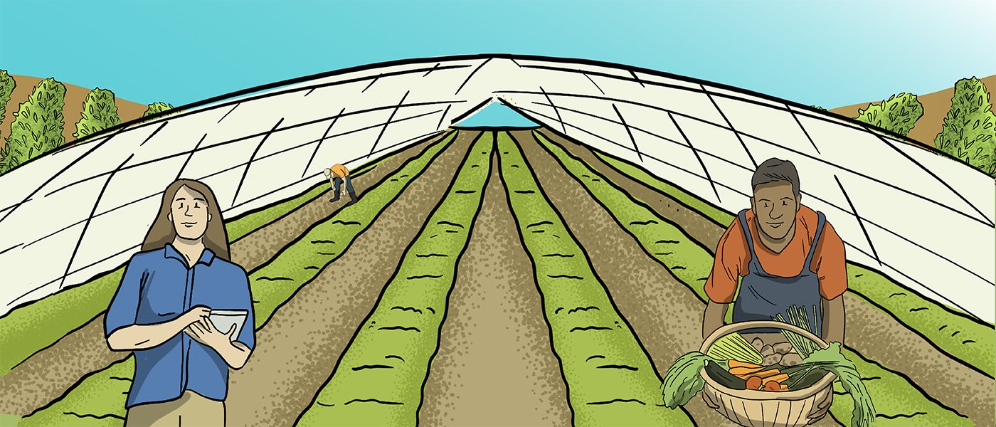 Alt Text: An illustrated covered greenhouse has rows of produce growing in it. Workers stand at different places in the greenhouse examining produce and supervising.