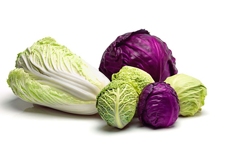 Present-HorticultureCrops-Vegetables-Cabbage(Istock) Many different varieties of cabbage are shown with hotspots that give the title of each cabbage.
