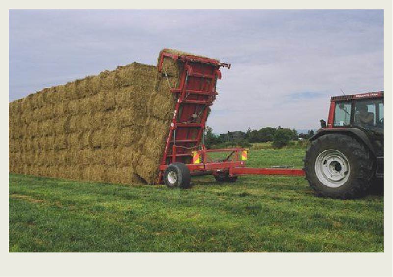 A bale wagon is tipped up so bales roll off into a tall stack of bales.