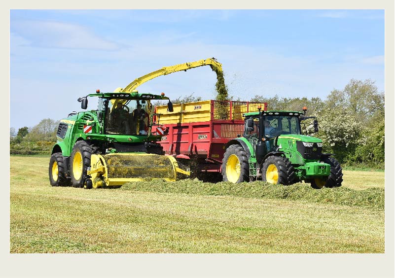 A forage harvester picks up a swath and dumps the crop into a wagon that is being pulled by a tractor beside it.