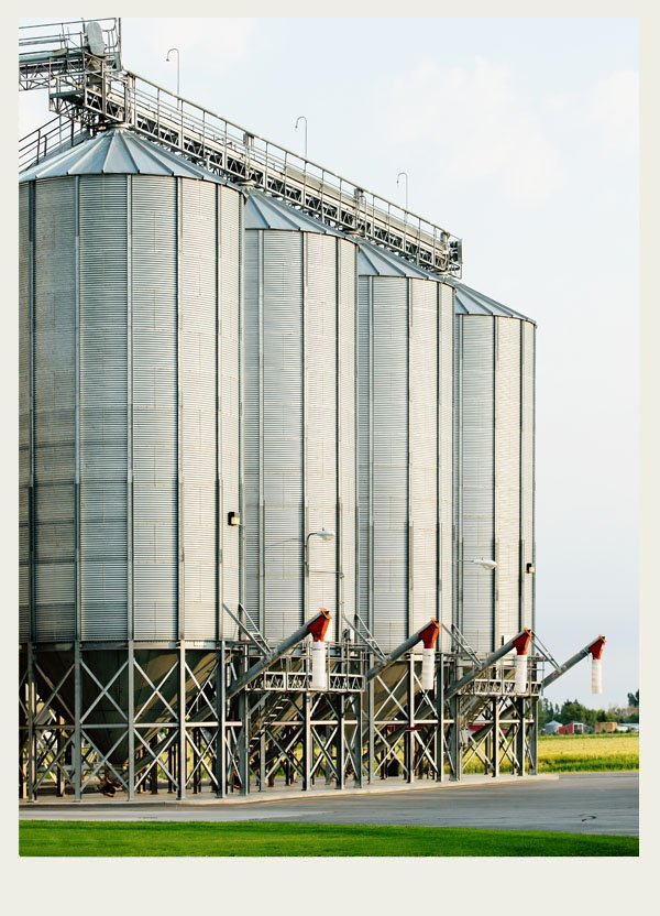 Four large metal grain bins stand in a row with augers sticking out the bottoms.