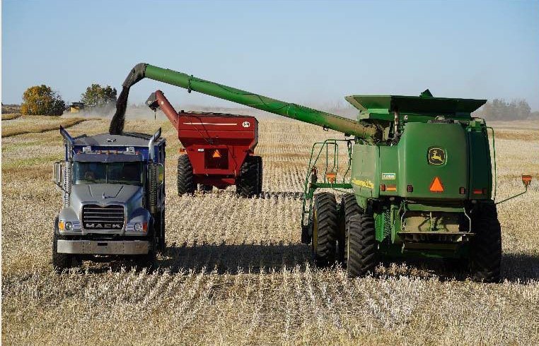 A combine is harvesting a field while dumping grain into a grain truck.