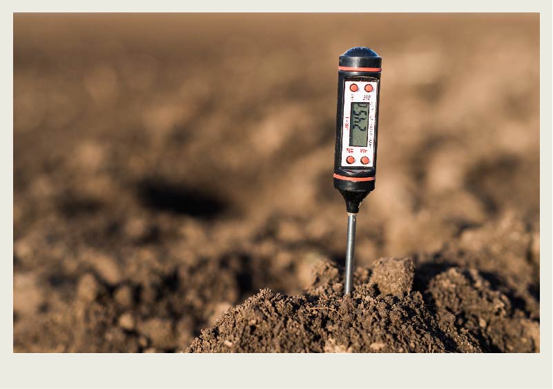 A man is holding a calf against a metal fence and holding the calf's ear to put a tag on using an ear tagger.