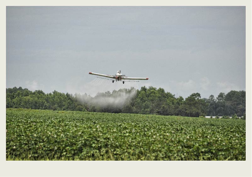 Mist comes out of a small airplane that is flying over a crop.