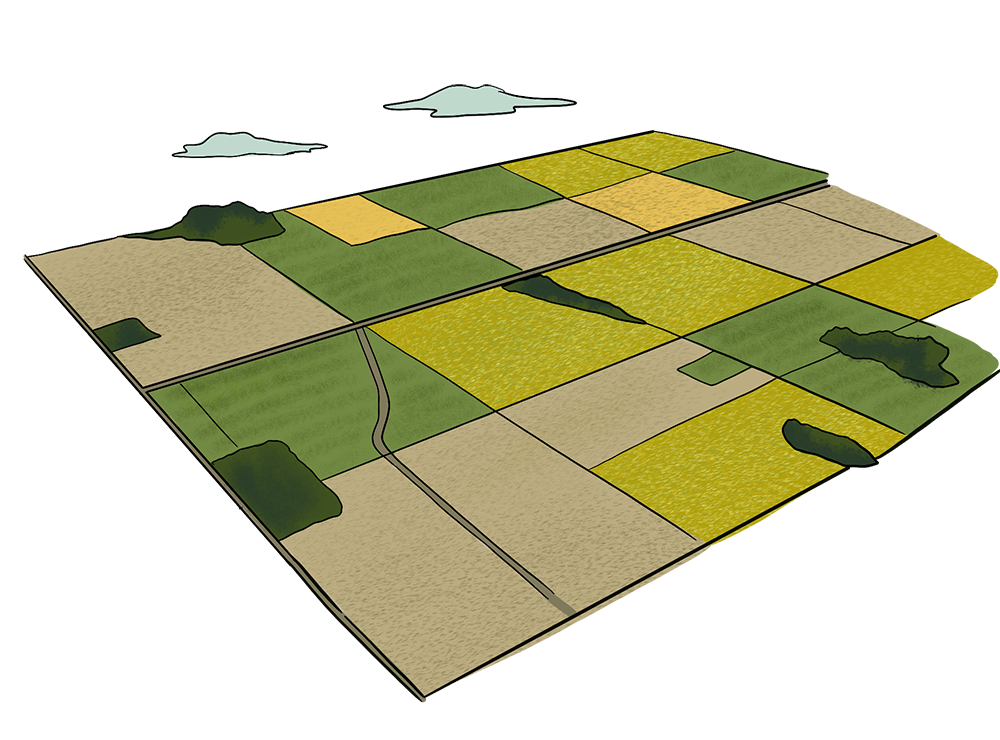 An illustrated bird stands on a branch eating haskap berries.