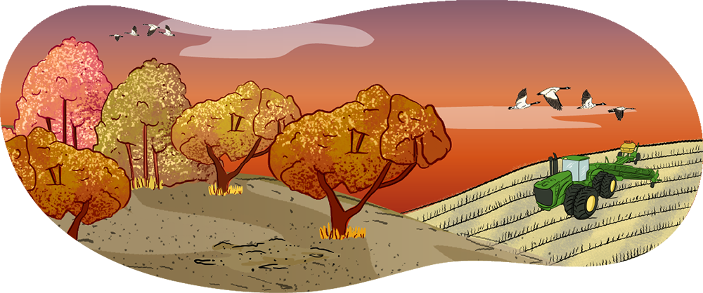 An illustrated bird stands on a branch eating haskap berries.