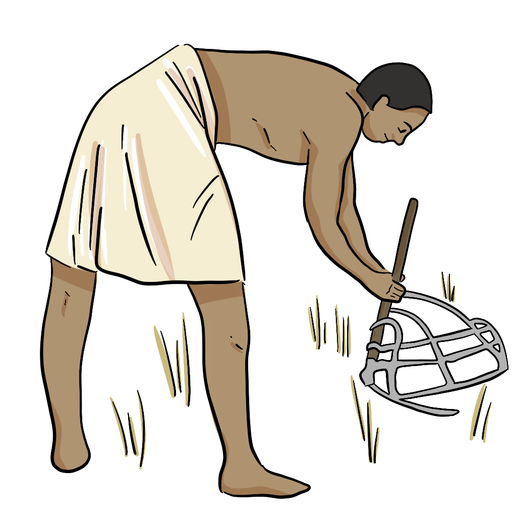An illustrated man is using cradle scythes to cut wheat down into stooks in a farm field.