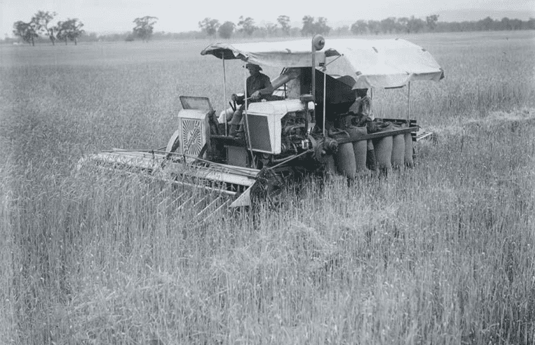 There is an early combine in a farm field with two people on it, one driving and the other bagging grain.