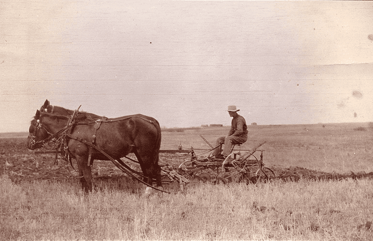 A man is riding on a seeder being pulled by two horses.
