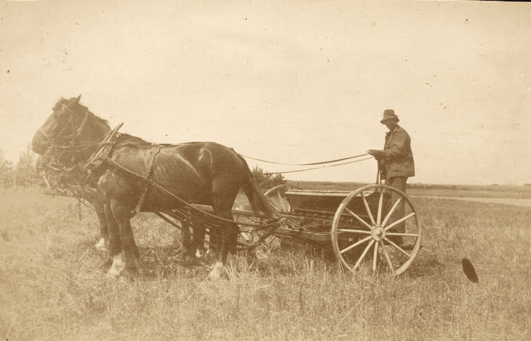 A farmer is riding on drills being pulled by two horses.