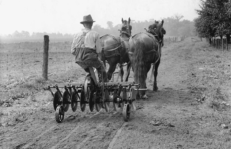 A farmer sits on top of steel diskers that are being pulled through a field with a team of two horses.