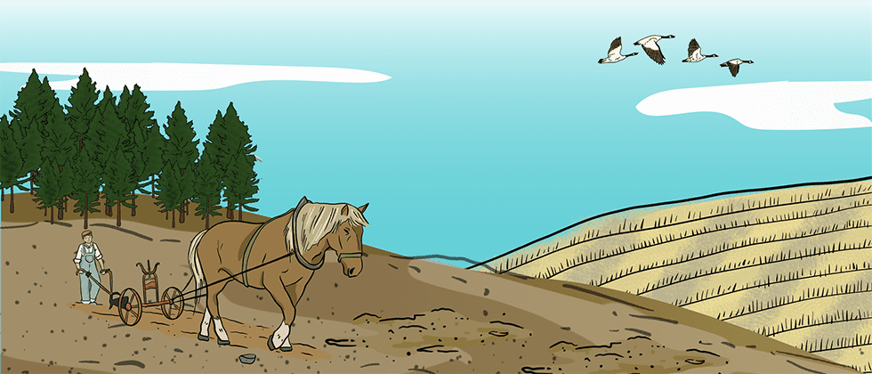 An illustrated farmer uses a horse to pull a plow to break prairie soil. There are trees and a wheat crop in the background.