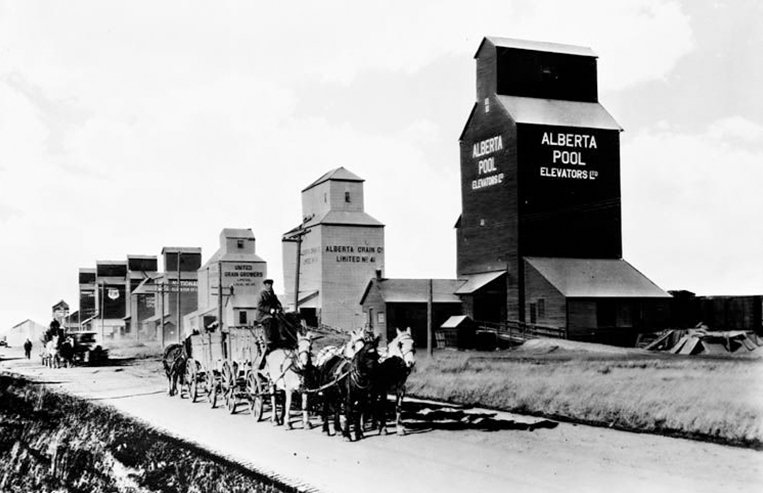 A row of grain elevators all have different grain company names on them. A grain cart is being pulled nearby by a team of horses.