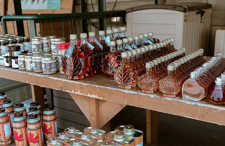 Different maple syrup products are lined up on a grocery store shelf.