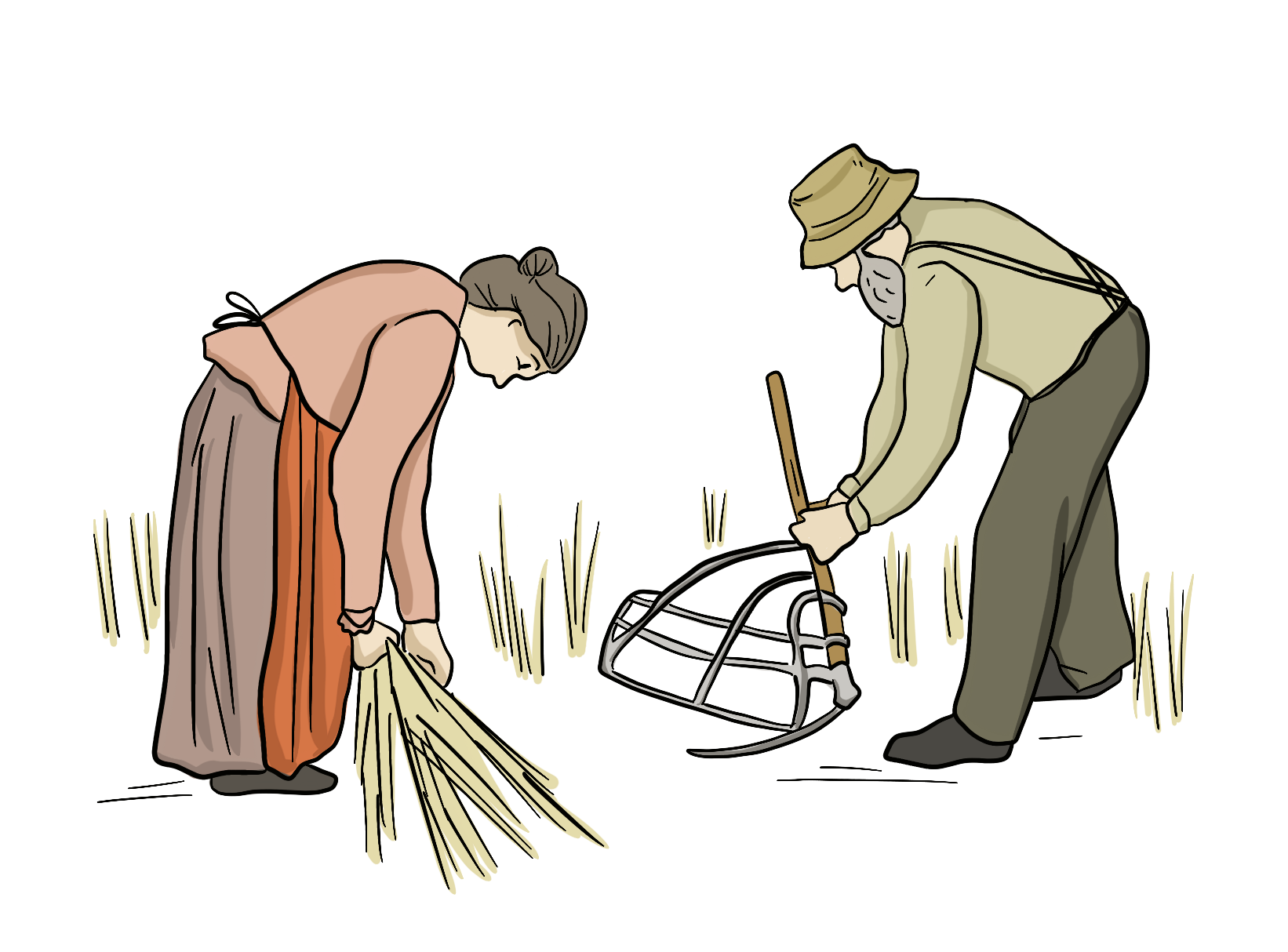 An illustrated man and woman use a cradle scythe to cut wheat into piles.