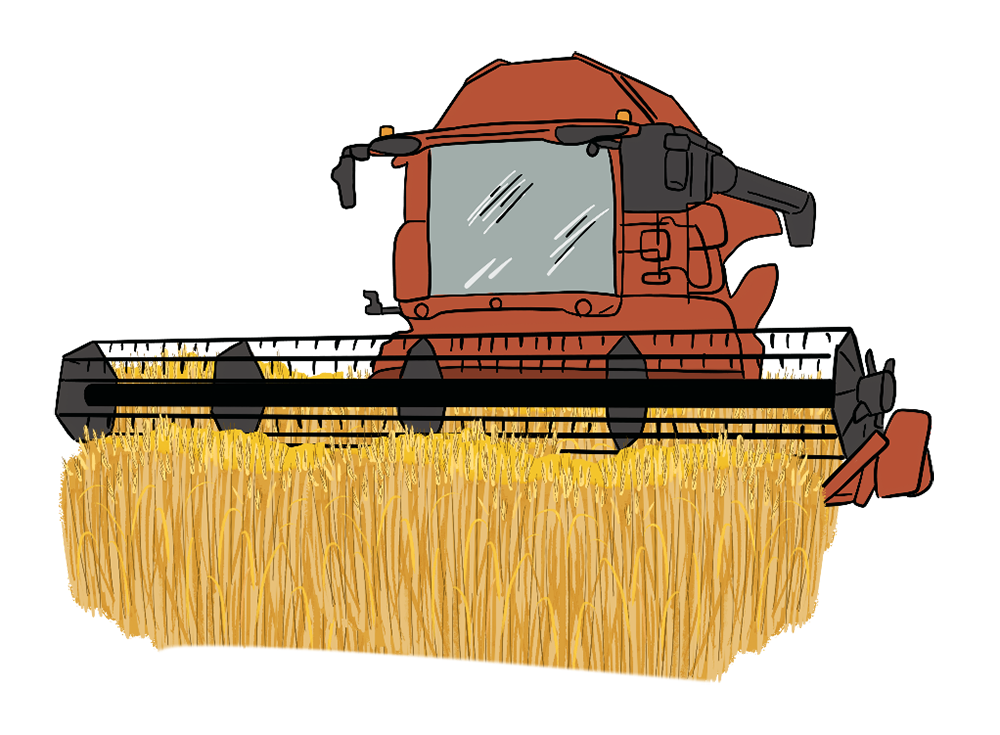 An illustrated combine harvests a golden-coloured crop.