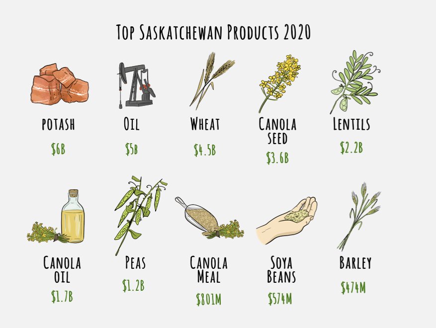 A green plant is thriving in a cracked dry brown soil.