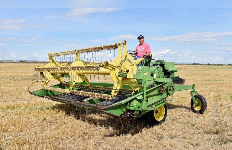 A green plant is thriving in a cracked dry brown soil.