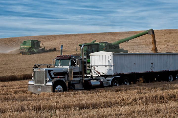 A parked green combine in a field is dumping grain into a semi-truck trailer.
