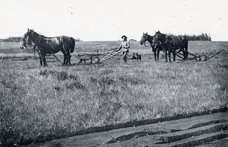 This farmer is using a plow to break prairie soil.
