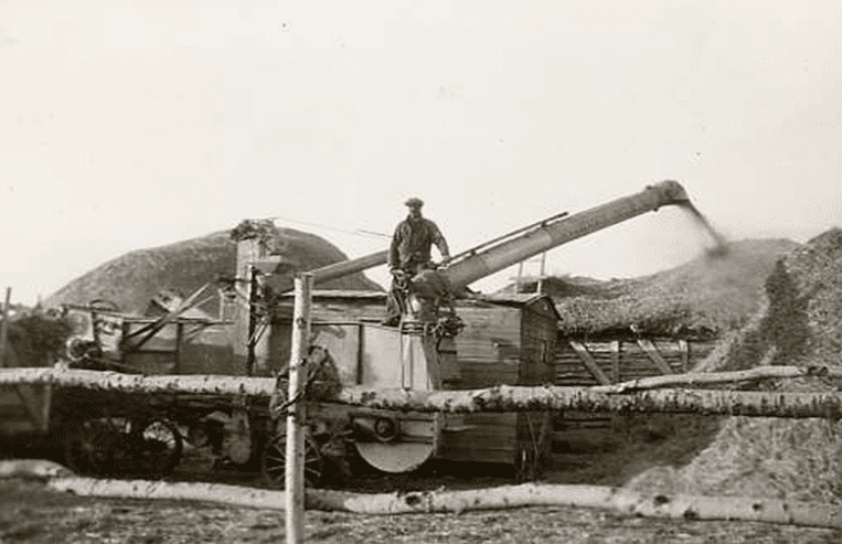 An irrigation system sprays water onto a green crop.