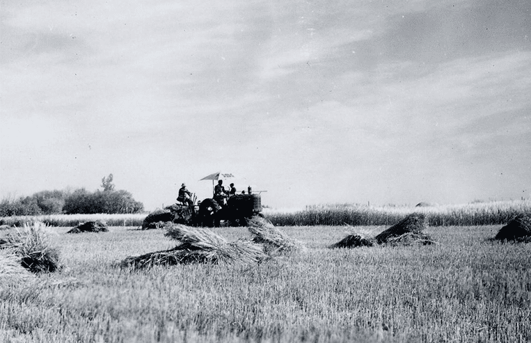 A tractor pulls a binder in a wheat field. There are multiple bundles of wheat shown.