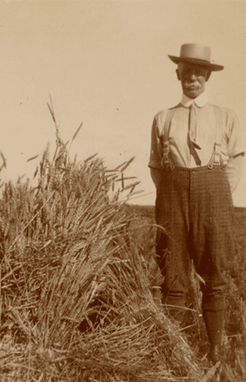 A farmer is standing next to a stook of wheat in a wheat field.