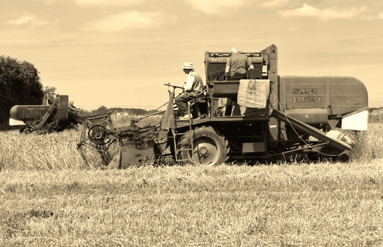Two farmers are riding on a 1950s combine to harvest their crop.