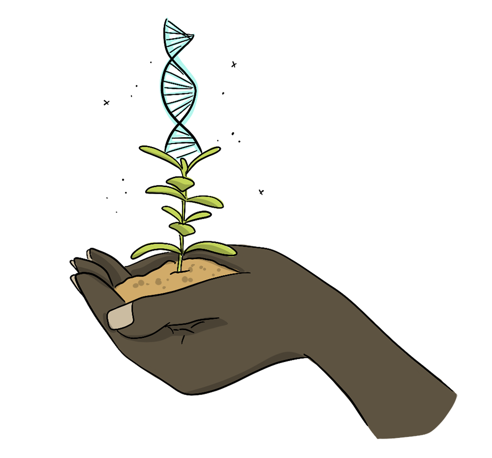 Illustrated hands are holding a plant with a row of DNA above it.