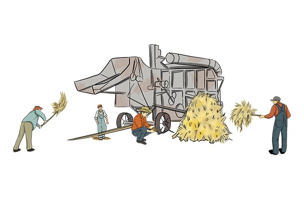 An illustrated group of men pitch hay into a threshing machine.