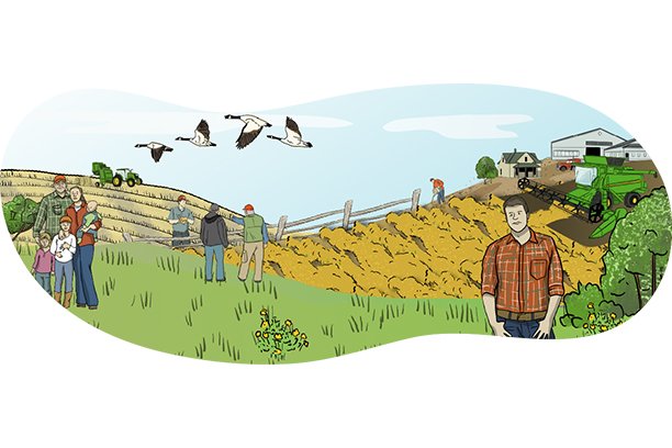 An illustrated farm shows a harvest scene where a combine is harvesting canola in the field and a family and a few others are standing in the foreground. There is a farm yard with a shop and a house in the background.