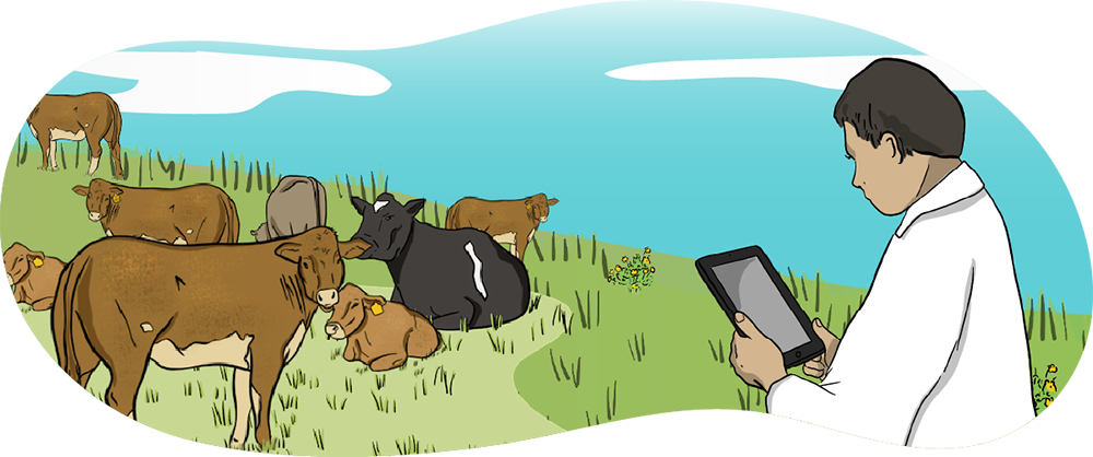 An illustrated scientist is using a tablet while he kneels in a pasture with cows grazing nearby. 
