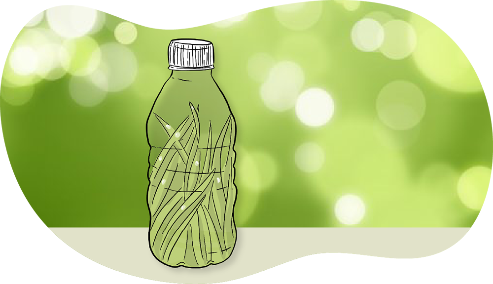 Bottle illustration An illustrated green plastic bottle is shown with plants inside of it.