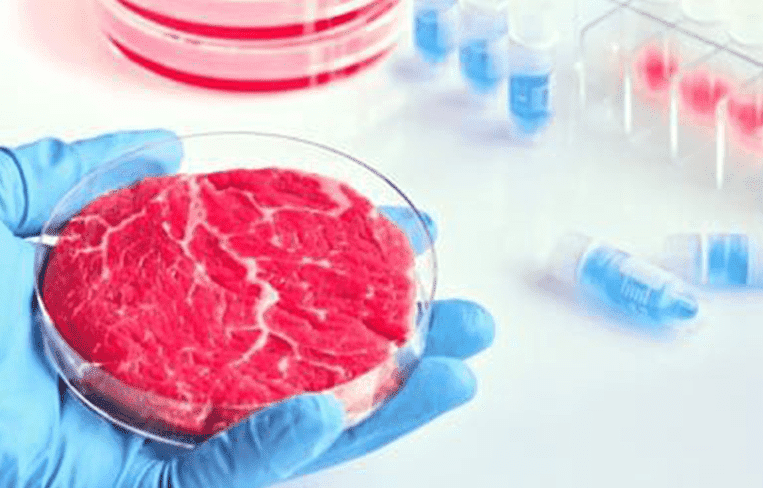 A gloved hand holds a petri dish with meat fibres in it. A laboratory countertop is in the background.