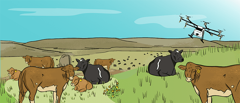 An illustrated herd of cattle stand in a green pasture as a drone flies overhead.