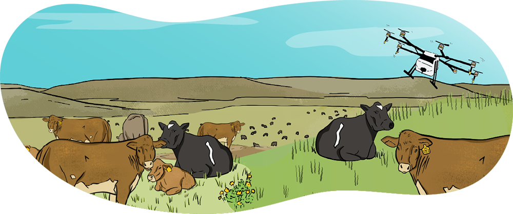 An illustrated herd of cattle stand in a green pasture as a drone flies overhead.