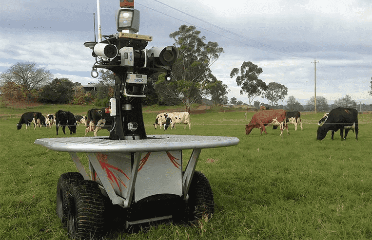 A robot with a video camera on it is parked in a pasture where cattle are grazing.