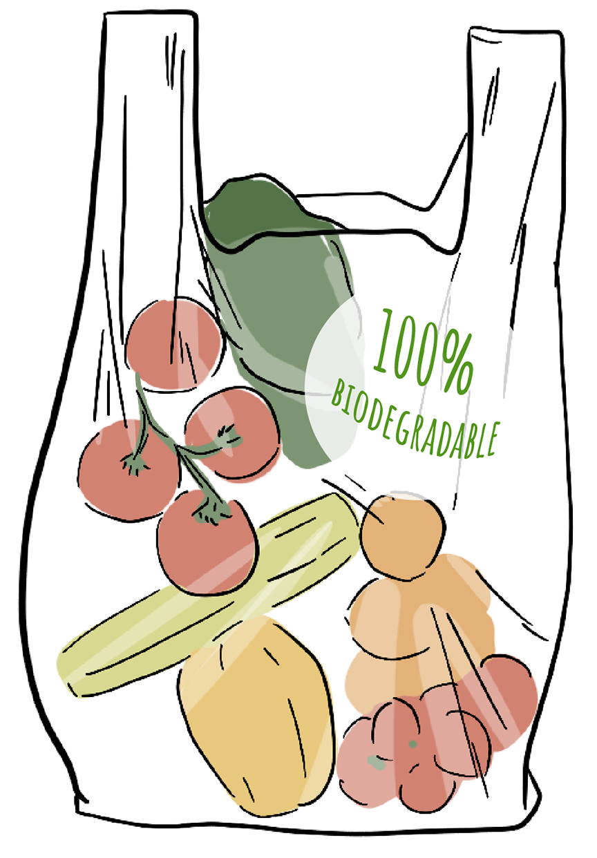 Grocery bag 2 Alt Text:
An illustrated see-through plastic bag is full of vegetables and has the words ‘100% biodegradable’ on the outside.