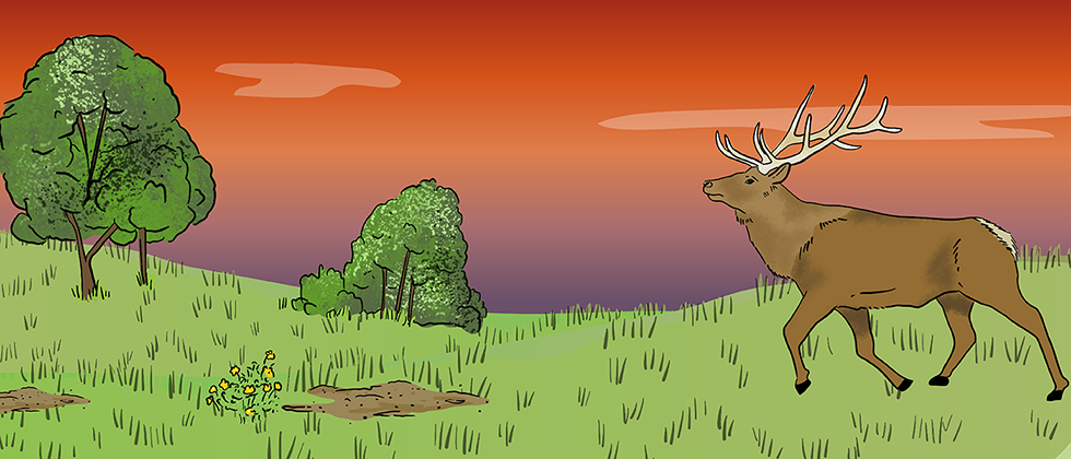 An illustrated elk walks through a green pasture with a sunset in the background.