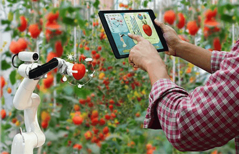 An egg collector robot collects eggs in a chicken pen as chickens watch it.