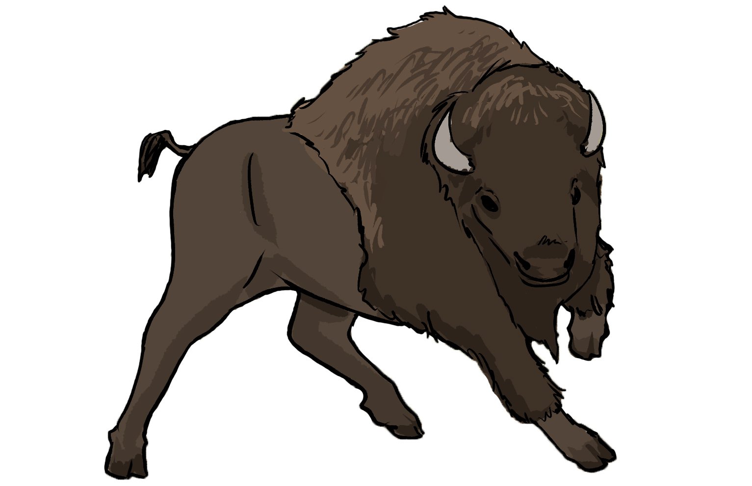 BUFFALO