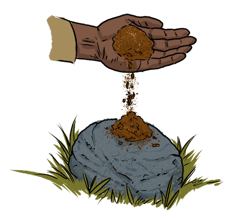 A yearling bull elk is standing among trees looking towards the camera.