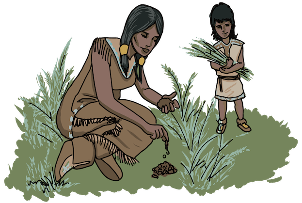 An illustrated Indigenous woman and child are planting seeds and picking plants.
