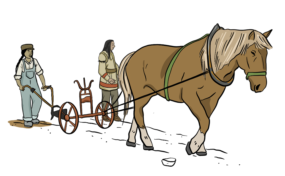 Indigenous farmers An illustrated Indigenous man is holding onto a plow as he walks behind a horse in a farm field.