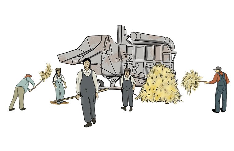 A group of First Nations farmers are picking up grain with pitchforks and putting it into a thresher.