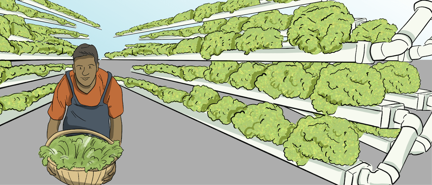 The inside of an illustrated vertical farming greenhouse is shown with rows and rows of green plants. In the foreground, a scientist takes a close look at a plant that is in his hands.