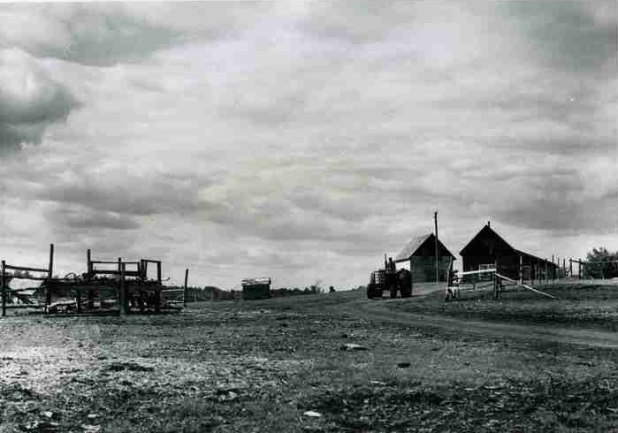 A group of Indigenous farmhouses from the early twentieth century stand together in a farmyard.