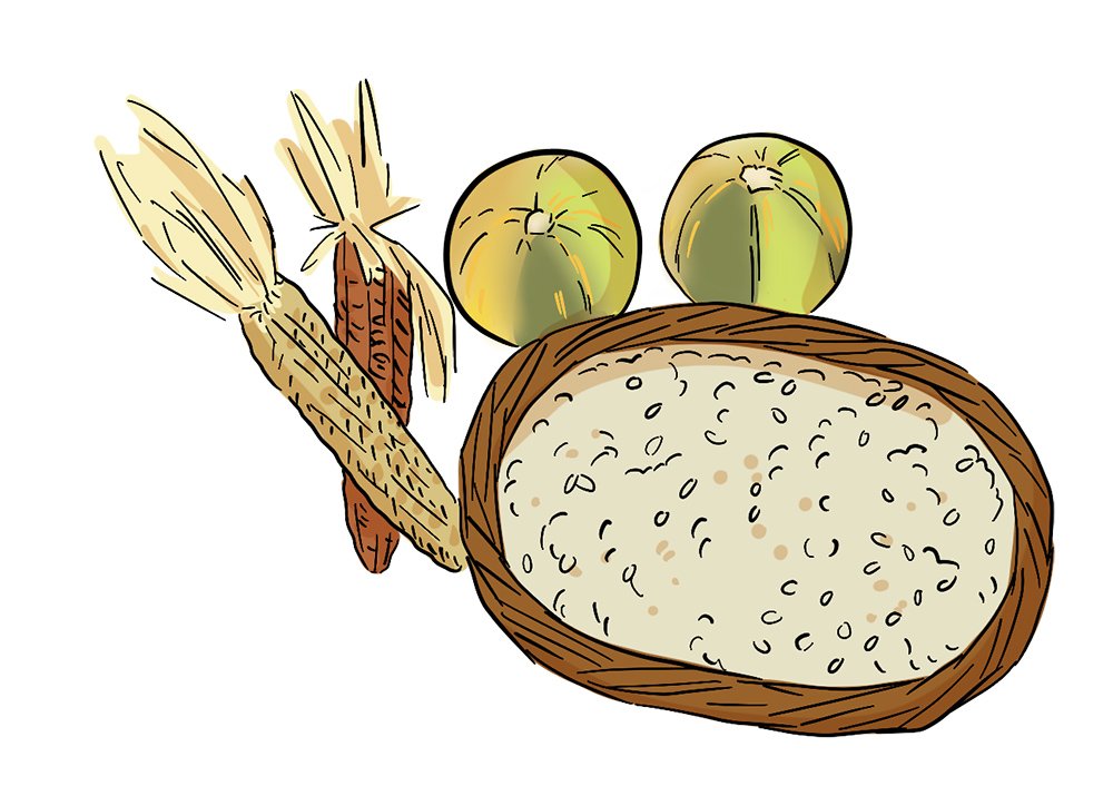 Illustrated corn and squash sit next to a basket with beans in it.