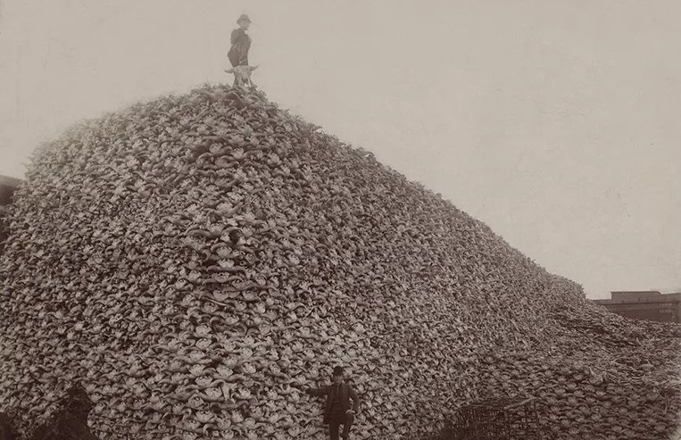 A pile of bones is shown with two men standing on it.